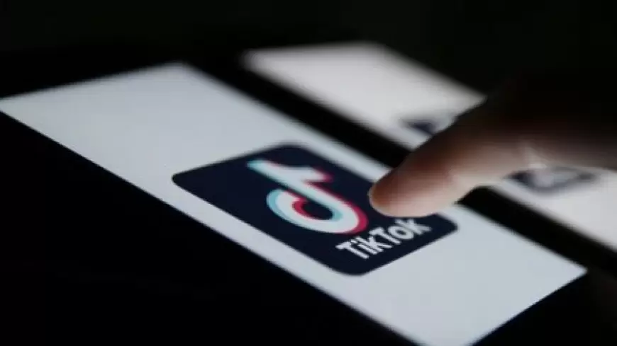 Məşhur sahibkar qardaşların pulları "TikTok"da jetona necə xərclənib? - TƏFƏRRÜAT